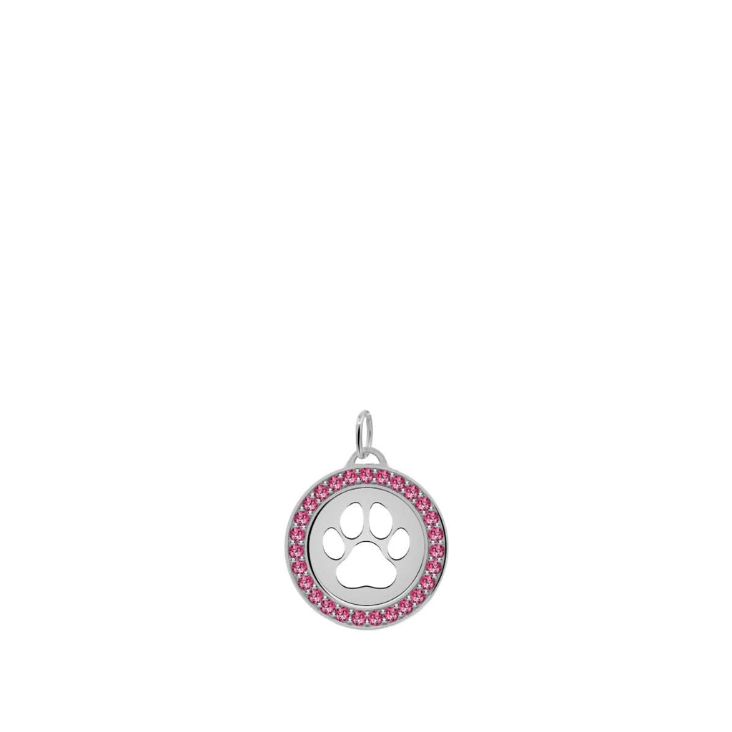 Paw & Ruby Pendant in 14k Gold (July)
