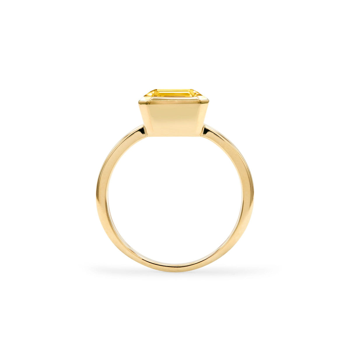 Warren Vertical Citrine Ring in 14k Gold (November)