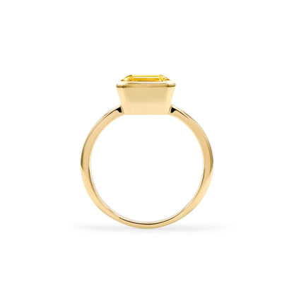 Warren Vertical Citrine Ring in 14k Gold (November)