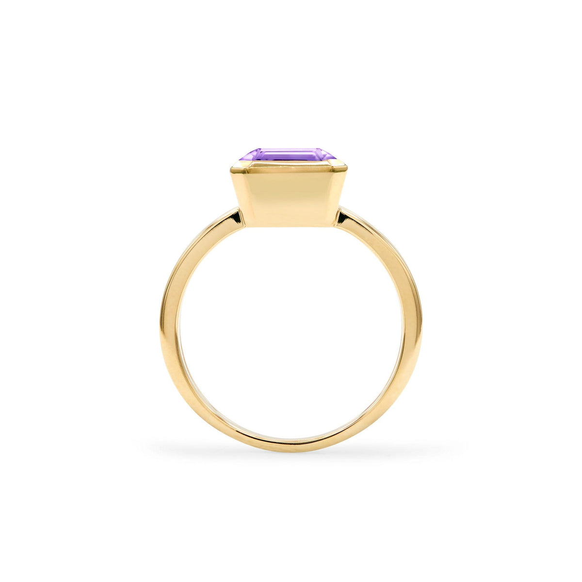 Warren Vertical Amethyst Ring in 14k Gold (February)