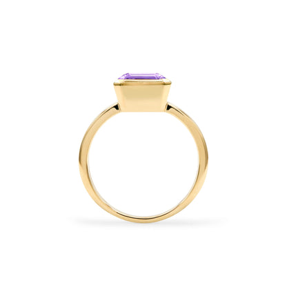 Warren Vertical Amethyst Ring in 14k Gold (February)