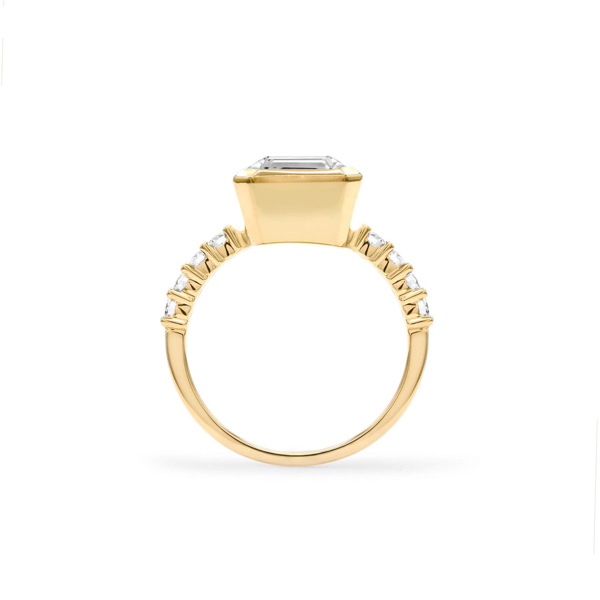 Warren Vertical Birthstone Ring with Accent Stones in 14k Gold