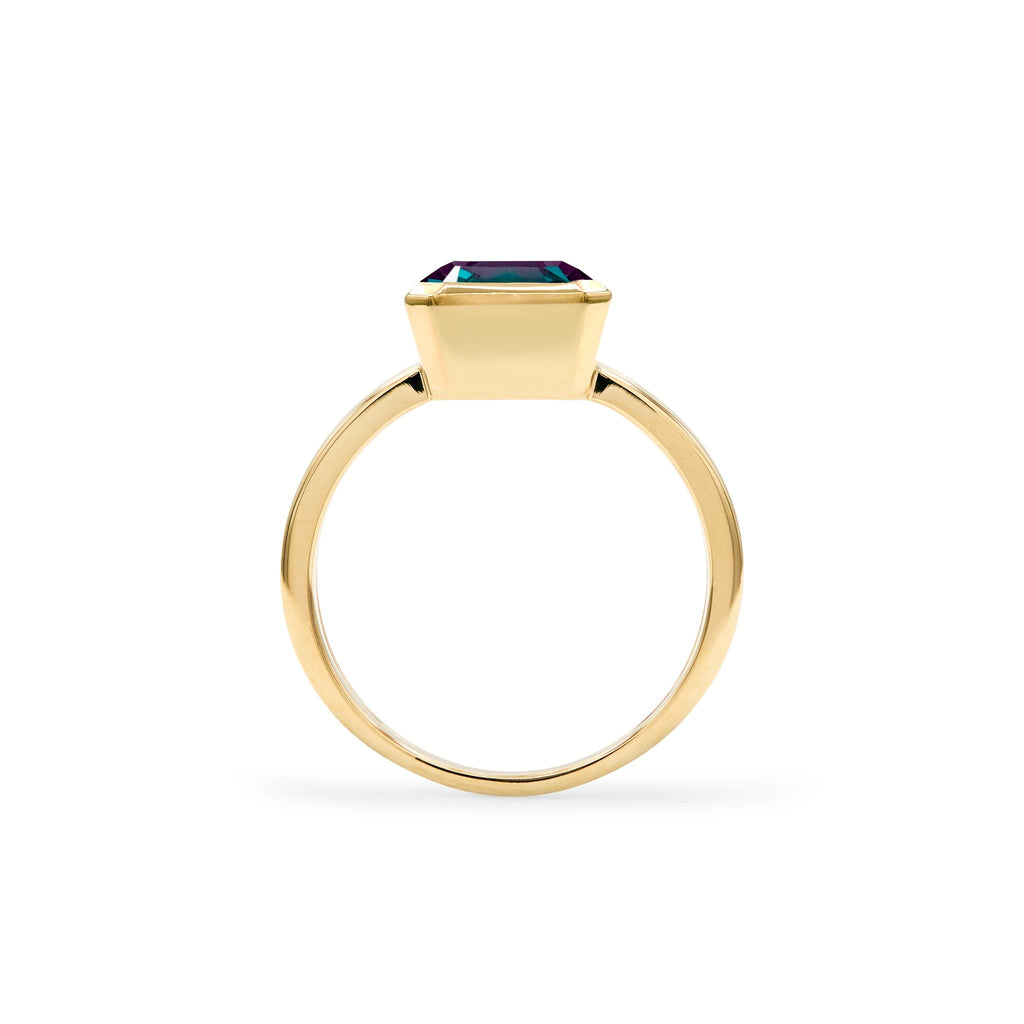 Warren Vertical Alexandrite Ring in 14k Gold (June)