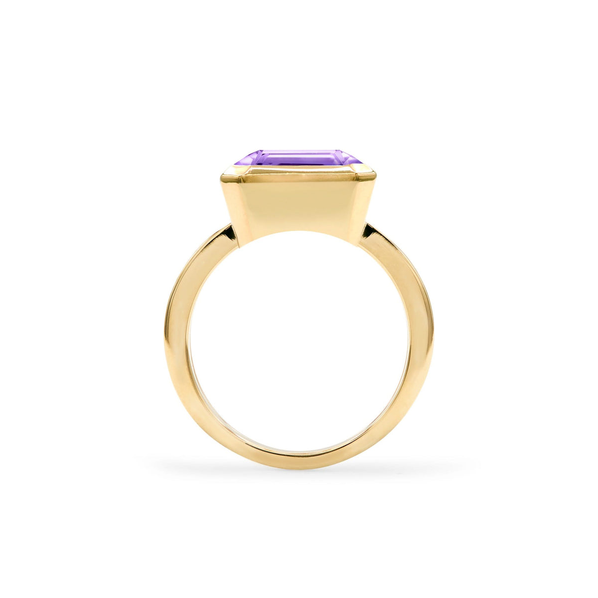 Warren Horizontal Amethyst Ring in 14k Gold (February)