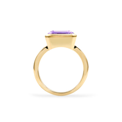 Warren Horizontal Amethyst Ring in 14k Gold (February)