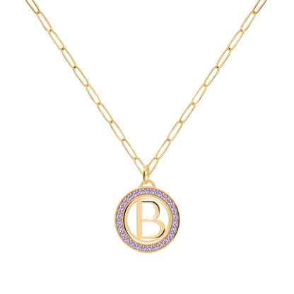 Letter & Amethyst Pendant in 14k Gold (February)