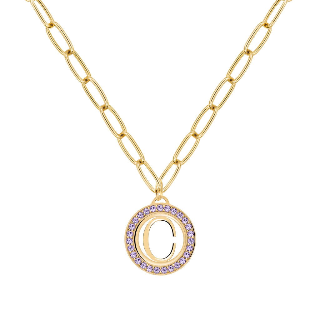 Letter & Amethyst Pendant in 14k Gold (February)