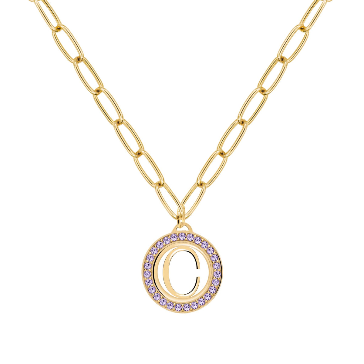 Letter & Amethyst Pendant in 14k Gold (February)