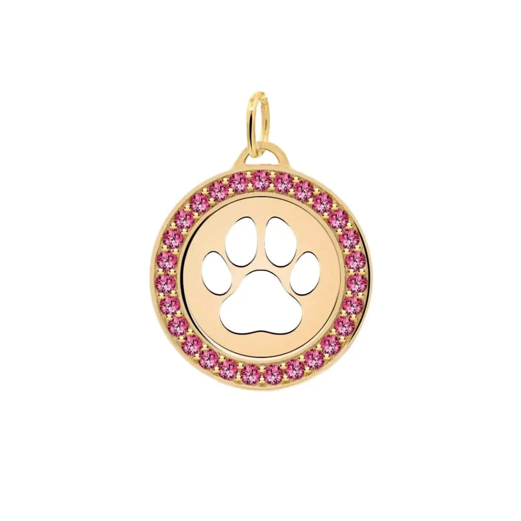 Paw & Ruby Pendant in 14k Gold (July)