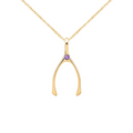 Small Amethyst Wishbone Pendant in Solid 14k Gold (February)