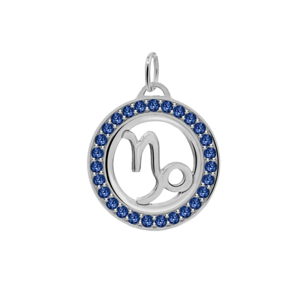 Capricorn & Birthstone Pendant in 14k Gold