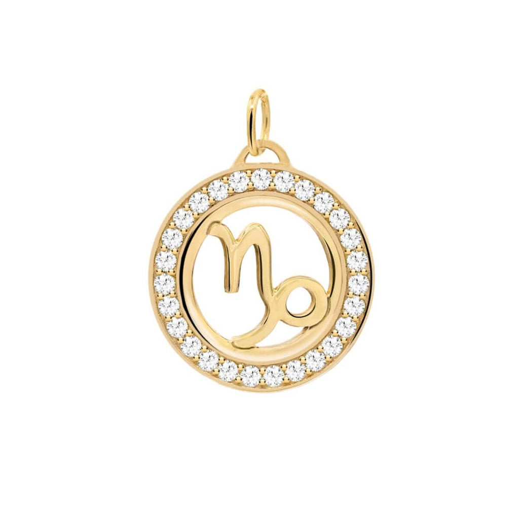 Capricorn & Birthstone Pendant in 14k Gold